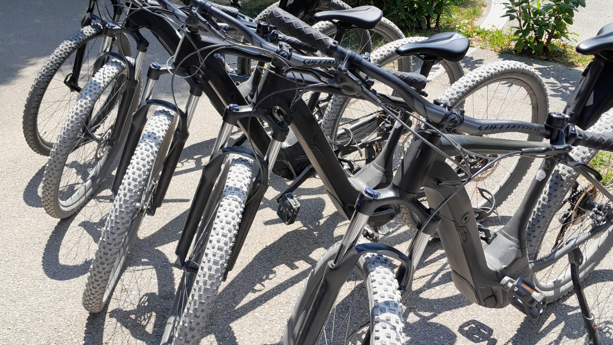 LEDRO-BIKE - Noleggio e-bike, e-city bike con pedalata assistita