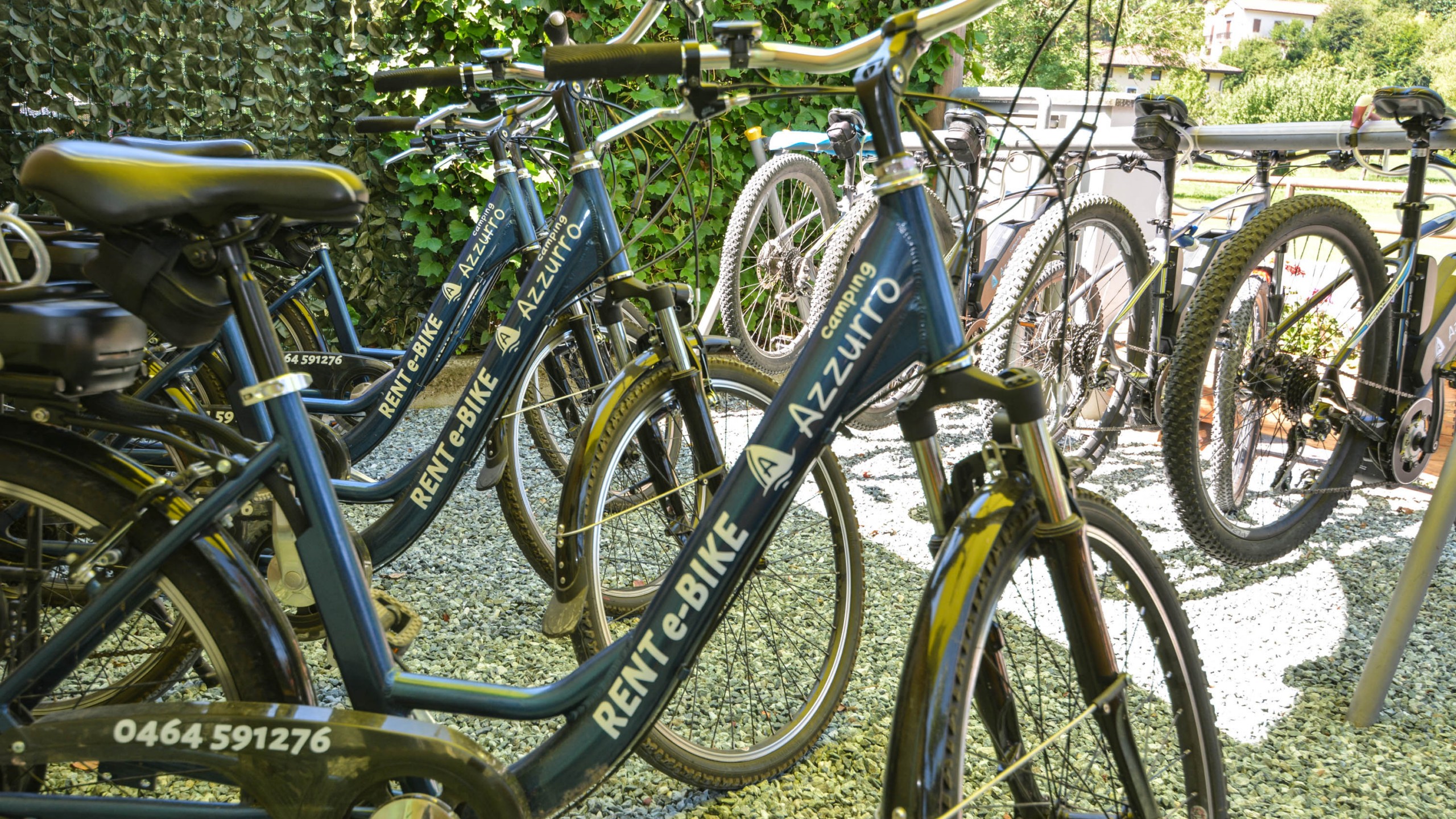 LEDRO-BIKE - Noleggio e-bike, e-city bike con pedalata assistita